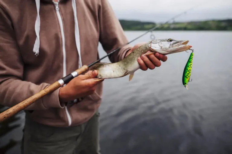 Clickbait – Teknik Pemancing Perhatian Audiens